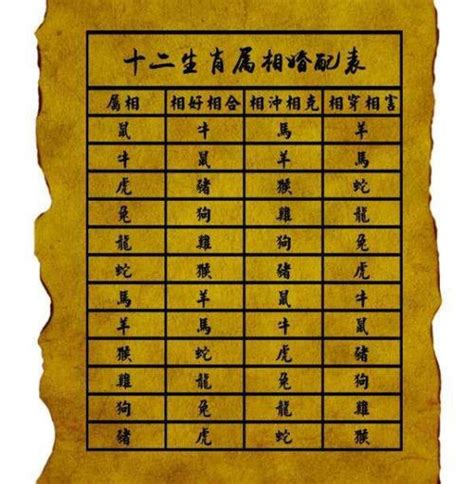 2005年属相|2005年属什么生肖 2005年属什么的生肖